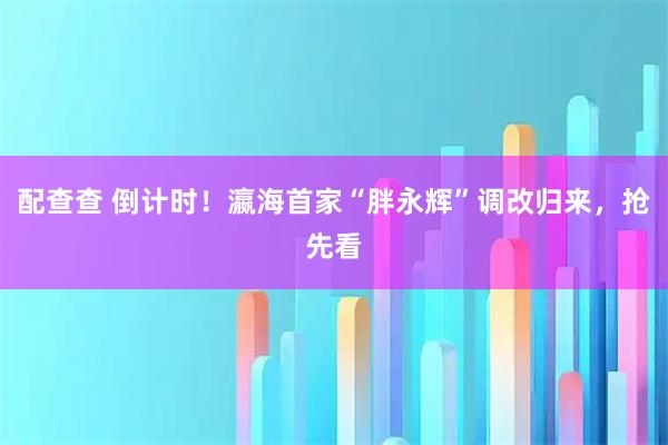配查查 倒计时！瀛海首家“胖永辉”调改归来，抢先看