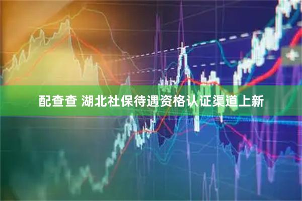 配查查 湖北社保待遇资格认证渠道上新