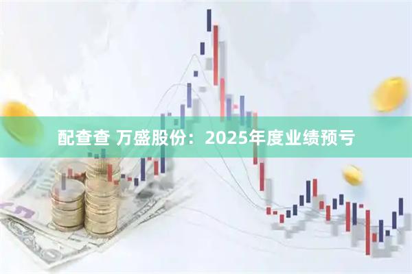 配查查 万盛股份：2025年度业绩预亏